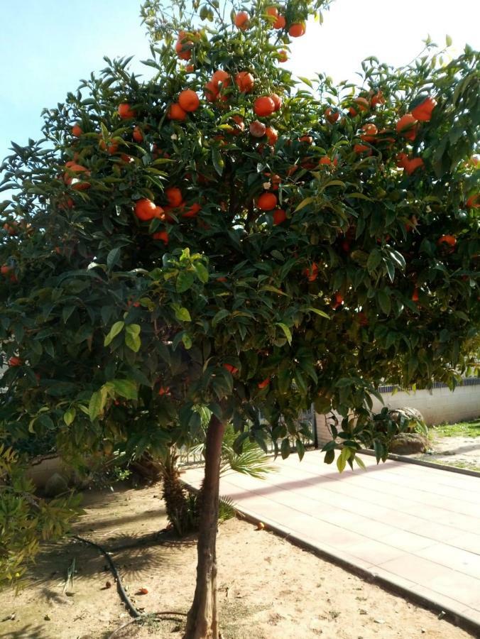 Cl Gravina 20 Daire Grao de Castellon Dış mekan fotoğraf